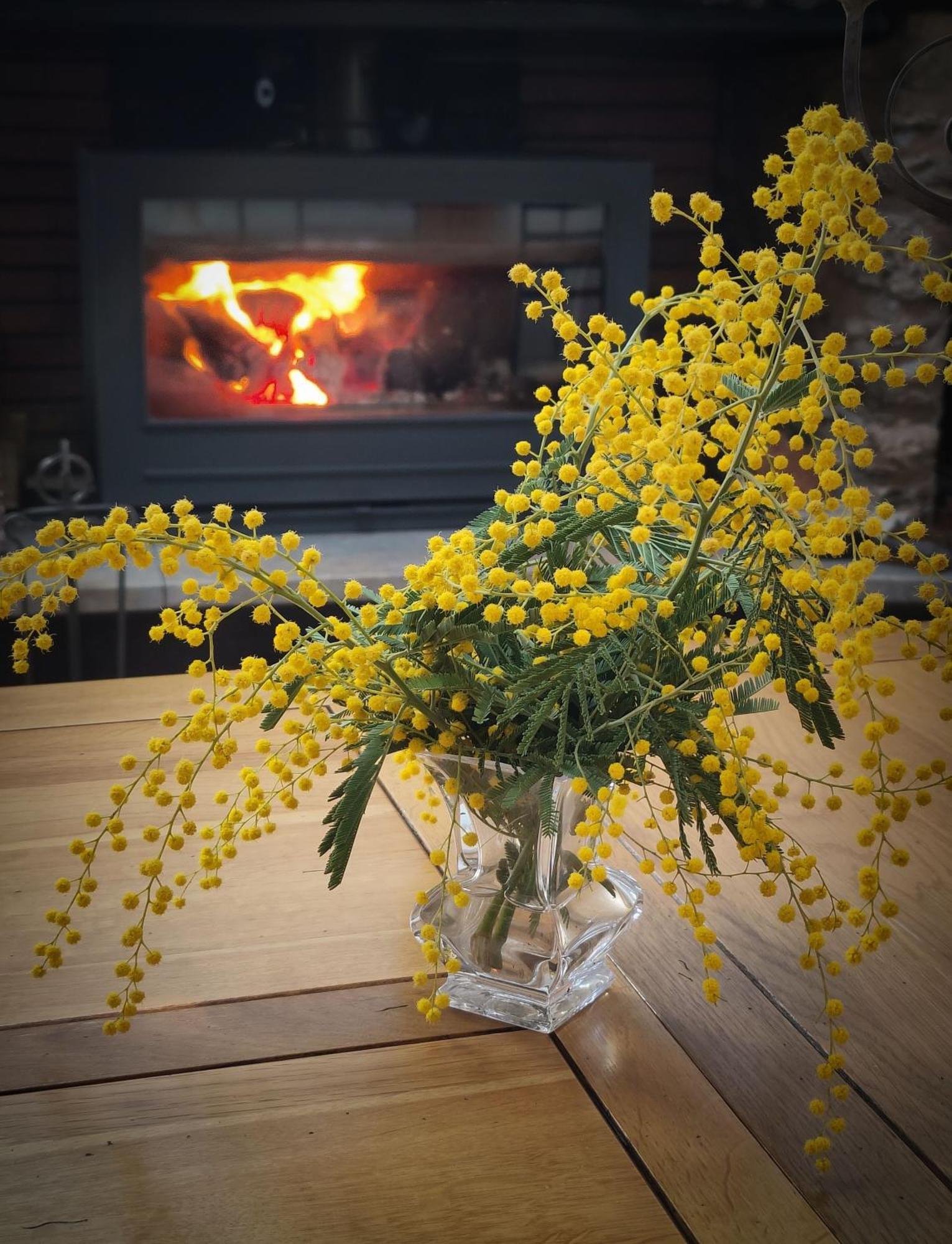 Bed and Breakfast Mas Peu Del Causse Thuir Esterno foto
